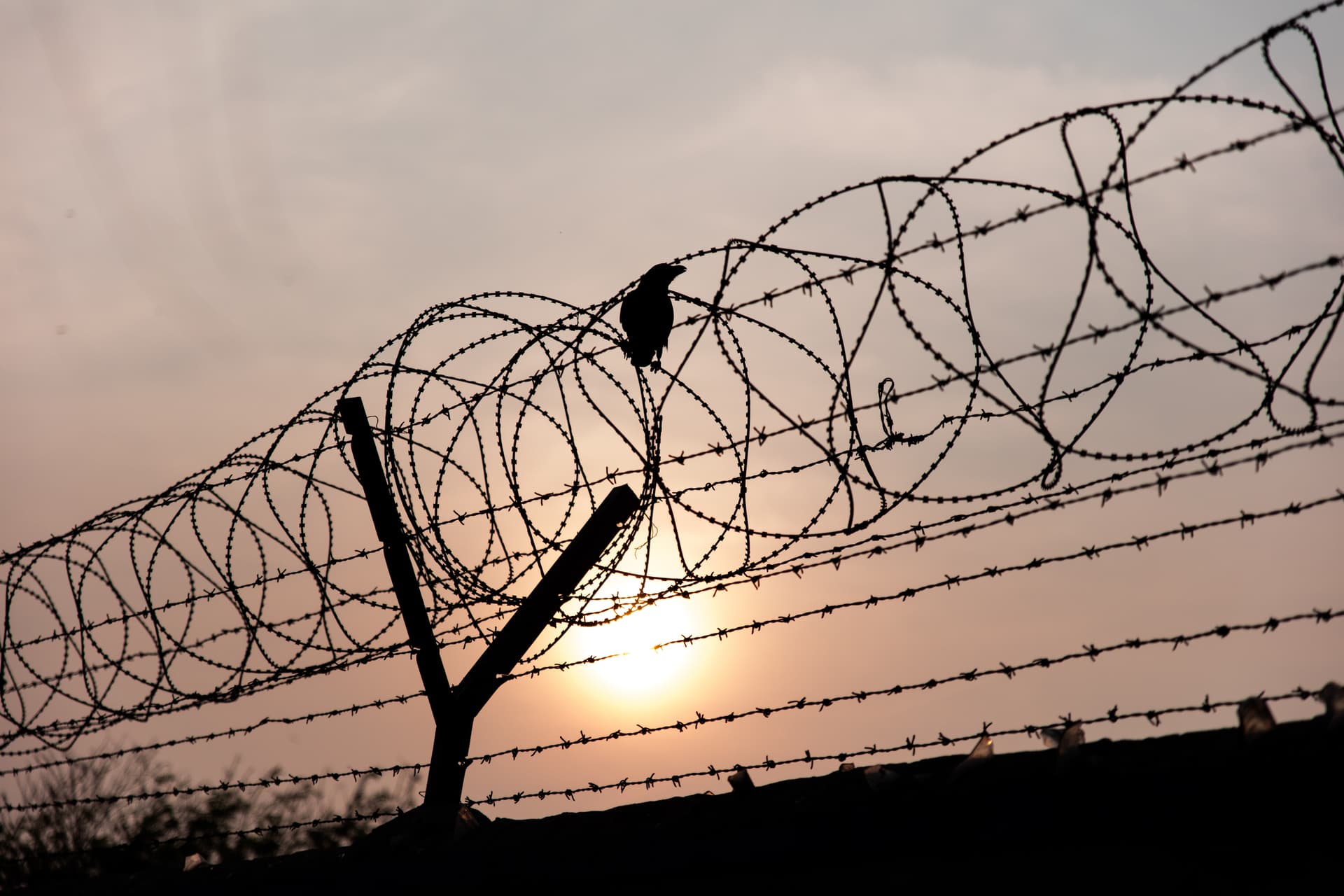 "Angriff auf die Pressefreiheit" inmitten der sich verschärfenden geopolitischen Krise
