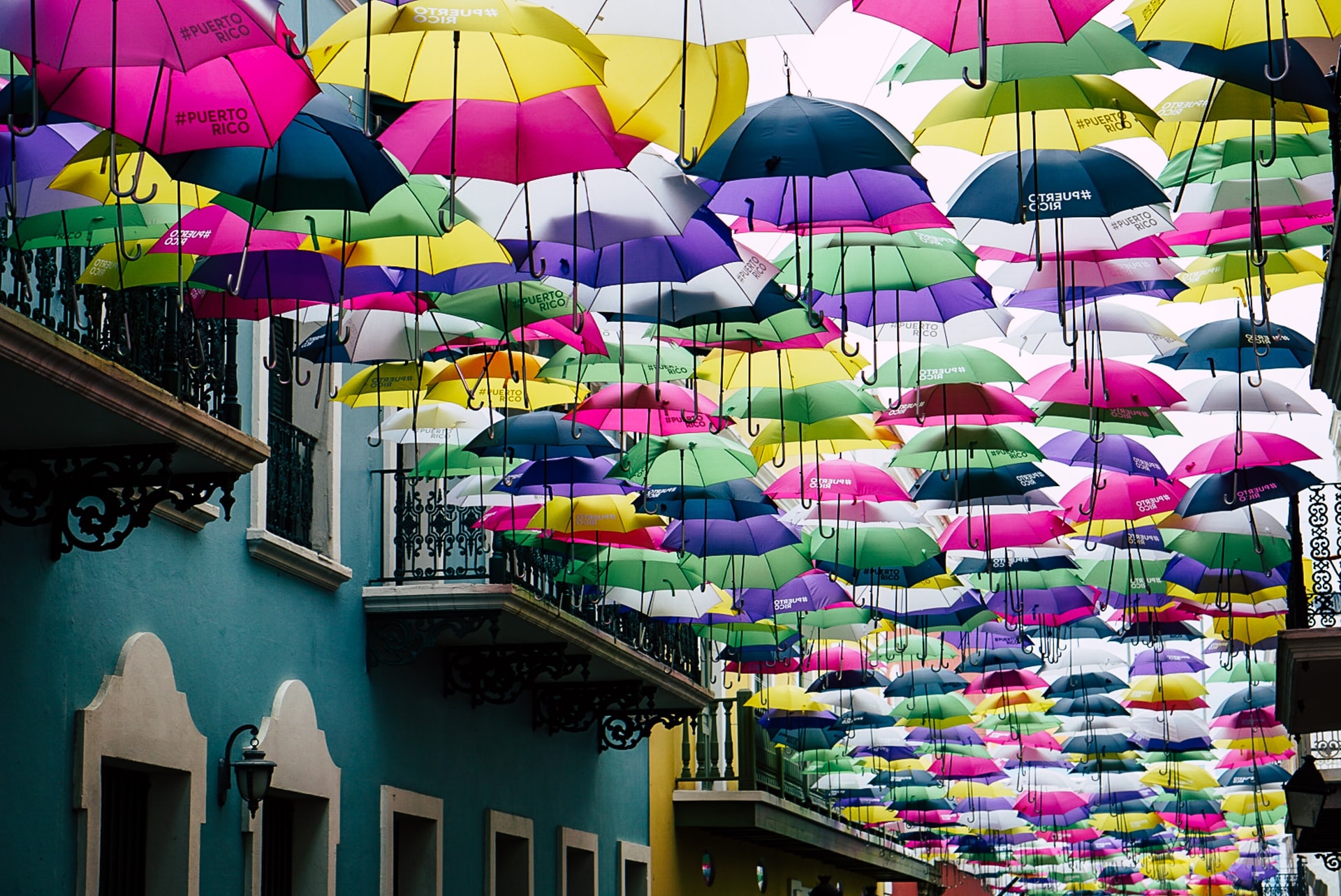 Reasons for optimism: Local news startups